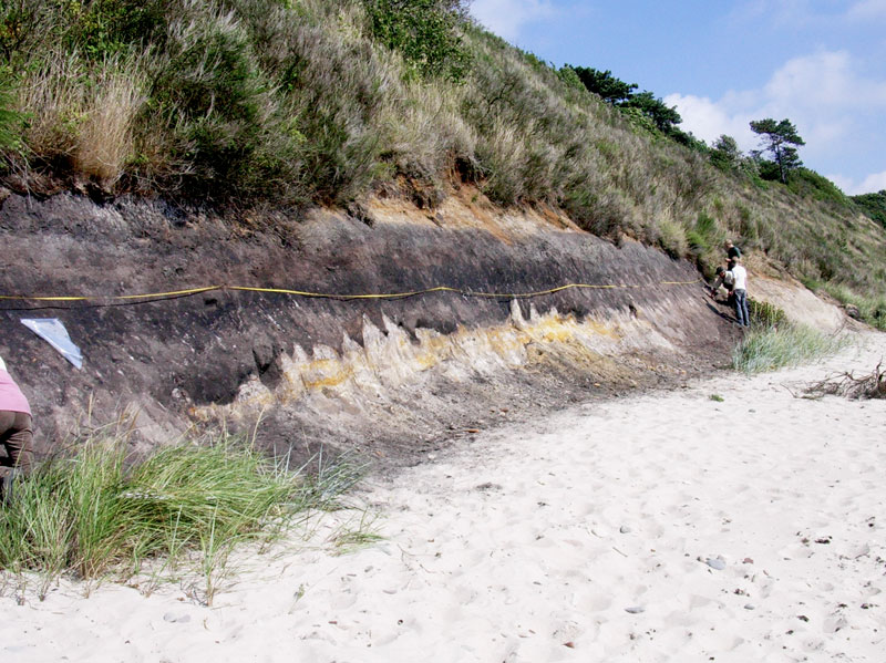 Dinosaurspor i skrænten