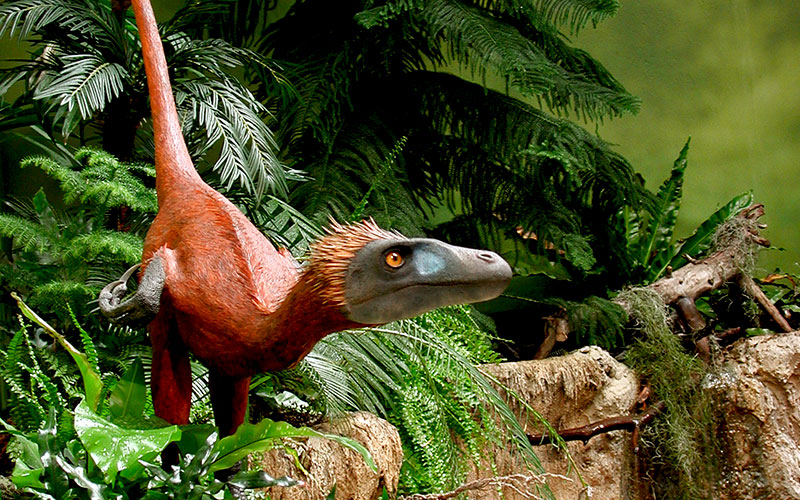 Gymnasieelev fandt Danmarks første dinosaur Geoviden