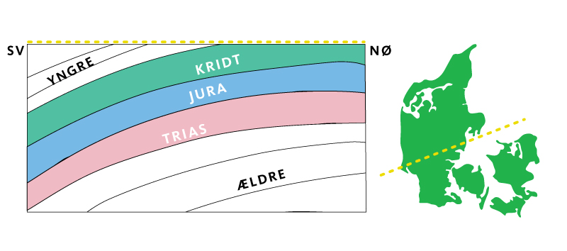 illustration af tværsnit af kort,