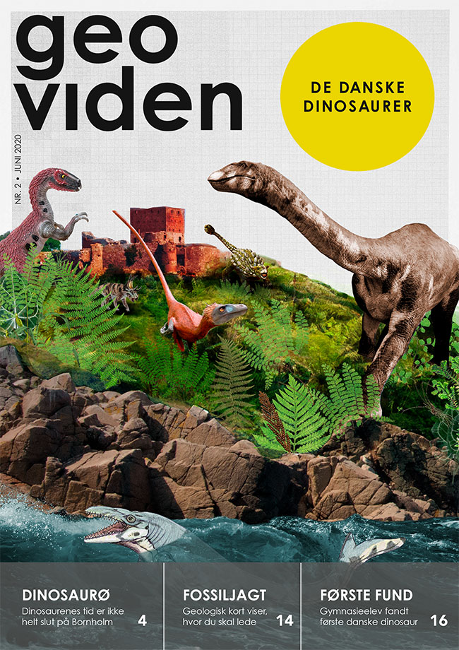 Gymnasieelev fandt Danmarks første dinosaur Geoviden