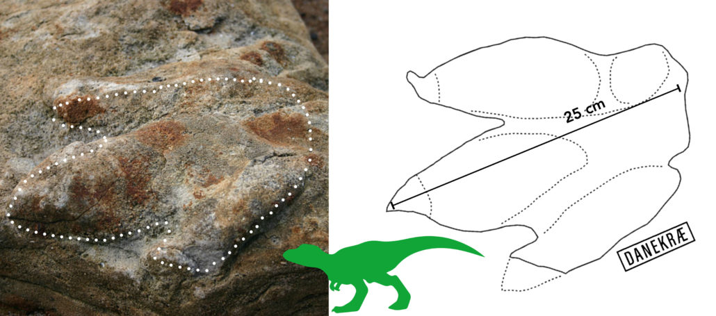 Danekræ fodspor 25cm