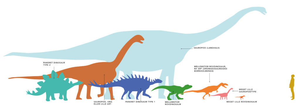 Dinosaur størrelser
