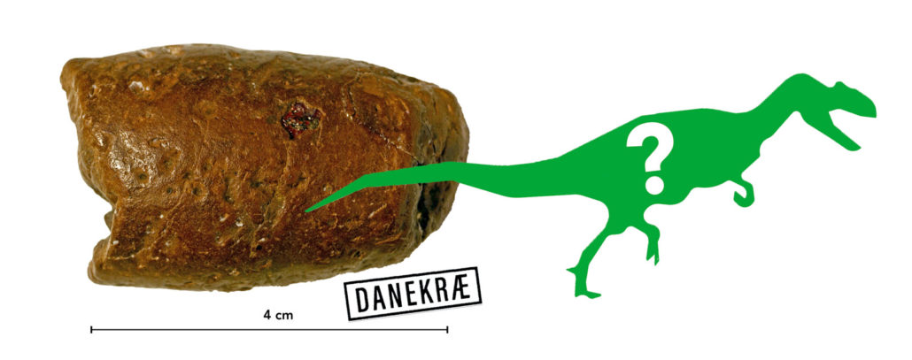 Danekræ, billede af dinosaurlort