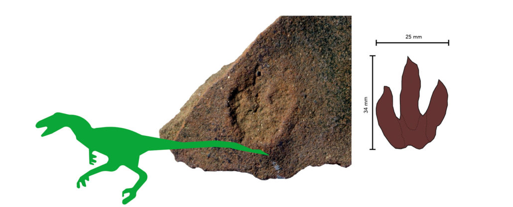 minispor H35mm B25mm