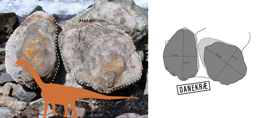 Danekræ fund 3.