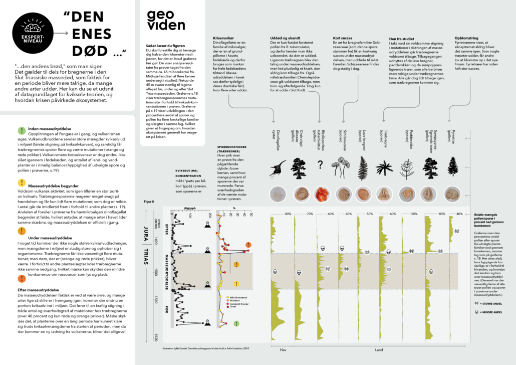 Plakat: ekspertniveau 'den enes død'