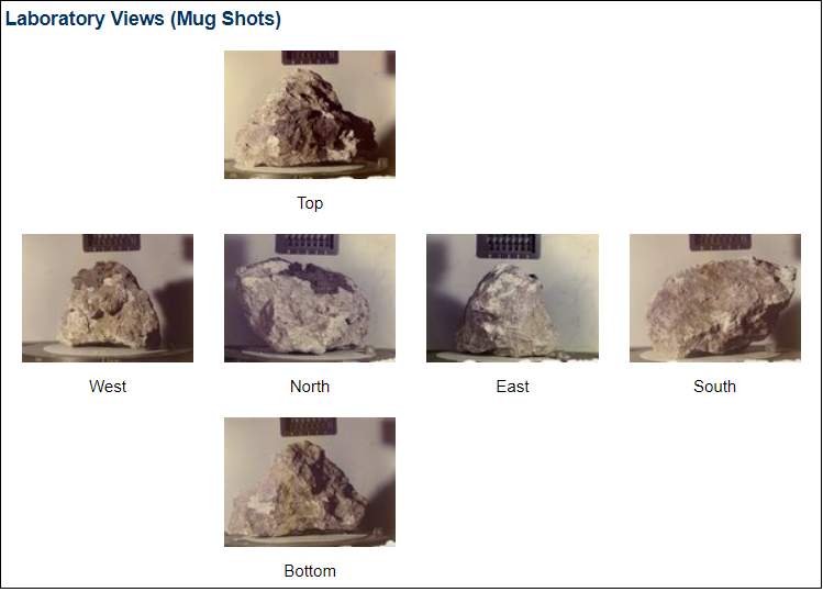 prøve 60025 mugshot