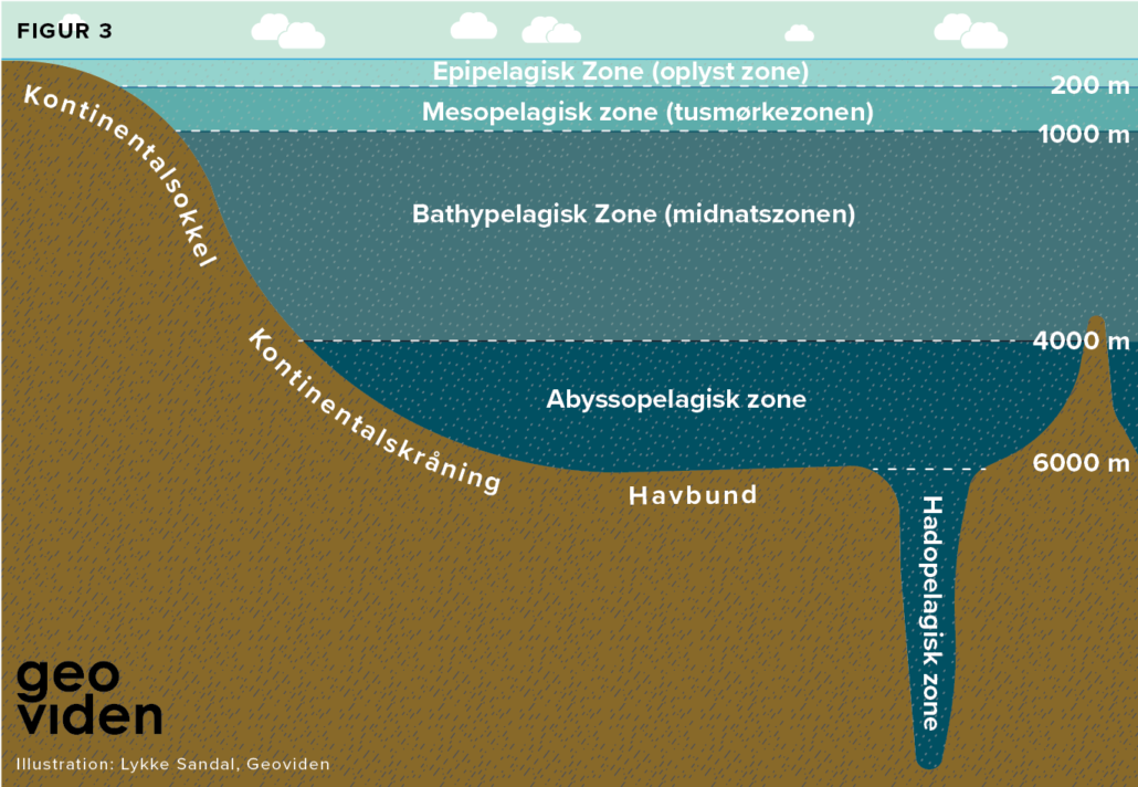 Zoneinddelinger efter lysniveau fra havoverfladen og ned