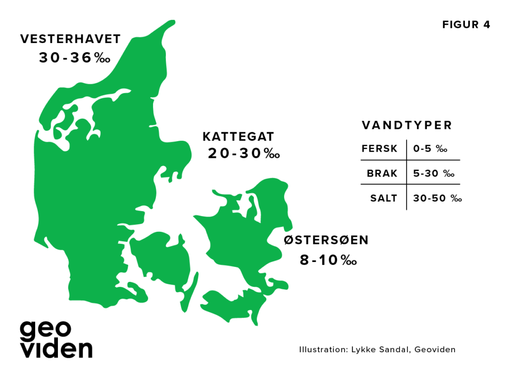 Oversigt over danske have og saltindhold