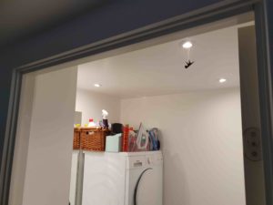 Billedet er taget gennem en rude udefra. Man kan se en vaskemaskine med rengøringsmidle rpå. I loftet er der spotlamper og fra en af dem hænger der i en snor et lille sort rør.