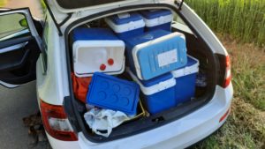 Man ser en bil bagfra. Bagagerummet er åbent og det er fyldt med store kølebokse, der pakket tæt sammen.