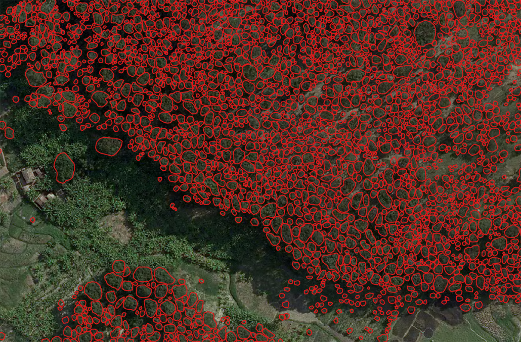 Et foto ovenfra af træer er markeret med en masse røde cirkler.