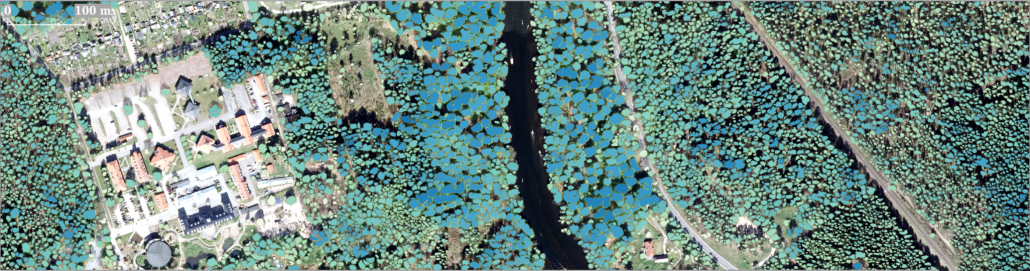 Udsnit af danmarkskort, hvor kunstig intelligens har talt og kortlagt hvert enkelt synligt træ i hele landet.