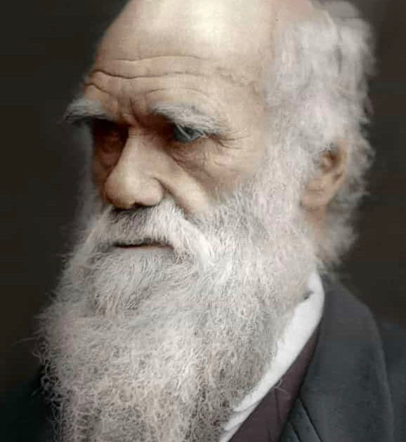 Darwin