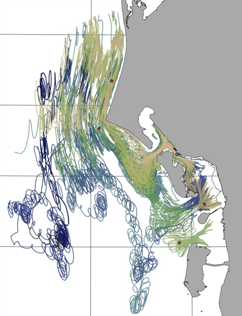 Billede fra modelleringen af, hvordan invasive arter spreder sig i Vadehavet