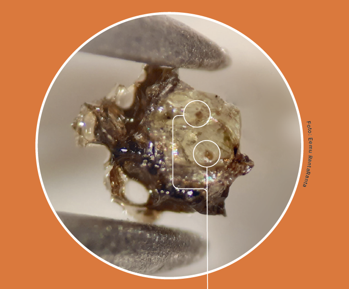 Et stykke af en lavaprøve, som er størknet til vulkansk glas.